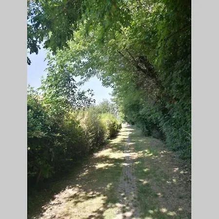 La Casetta, Nel Verde A Appartamento *