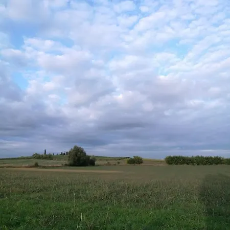 La Casetta, Nel Verde A Appartamento Sommacampagna