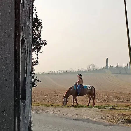 La Casetta, Nel Verde A Appartamento *
