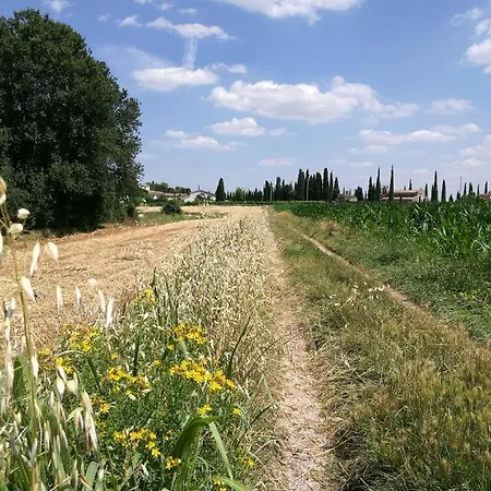La Casetta, Nel Verde A Διαμέρισμα *
