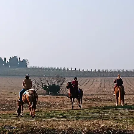 La Casetta, Nel Verde A * Sommacampagna